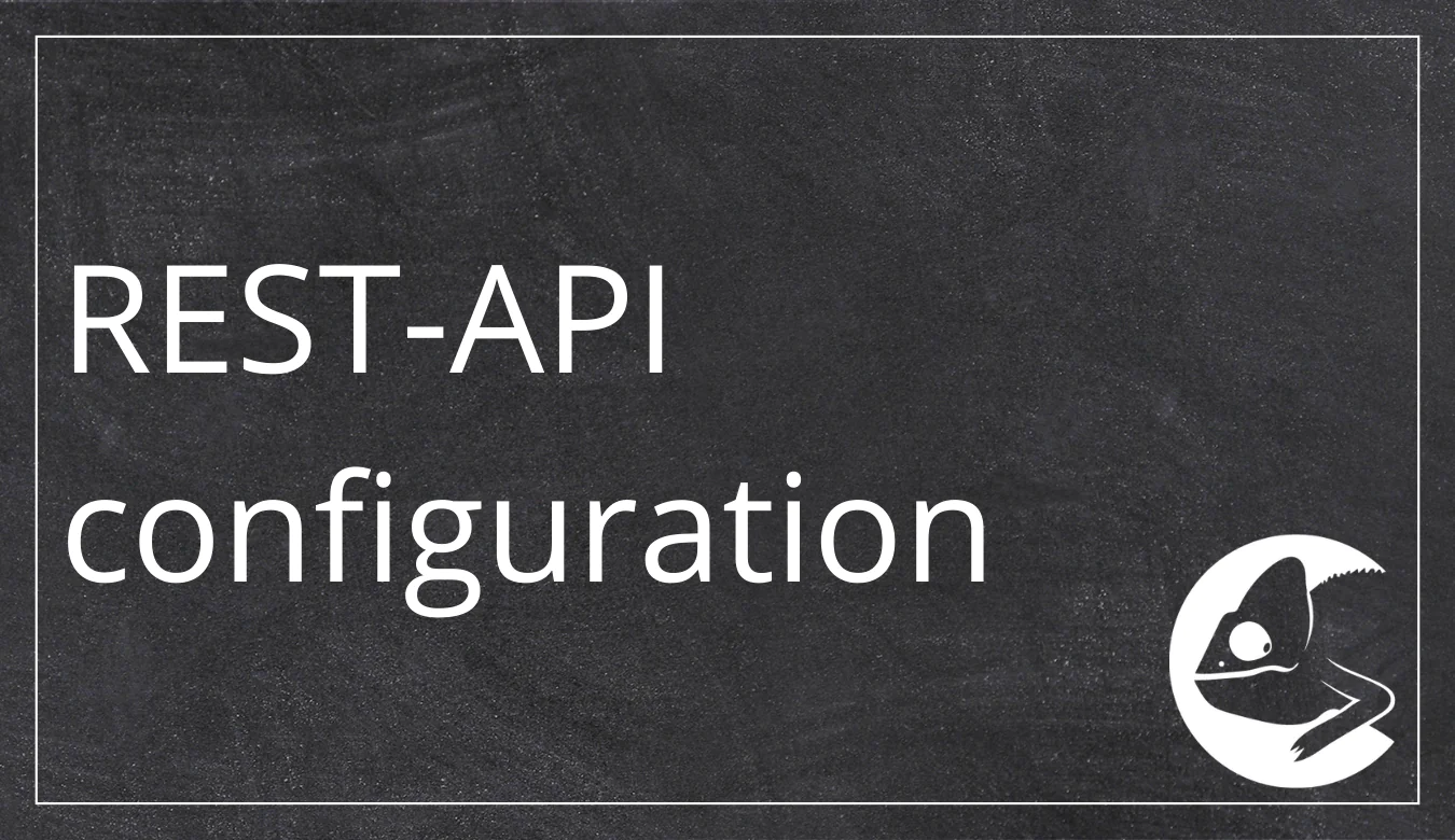 REST-API configuration